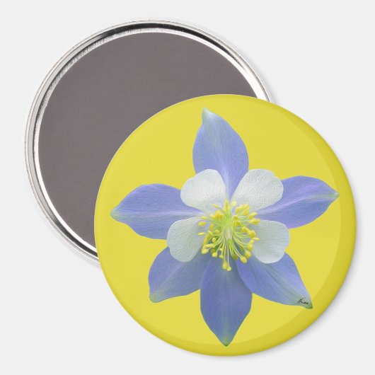 Kolomkolom 2 magneet (Voorkant / Achterkant)