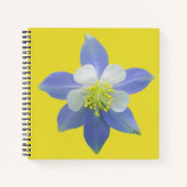 Kolomkolom 2 notitieboek (Voorkant)