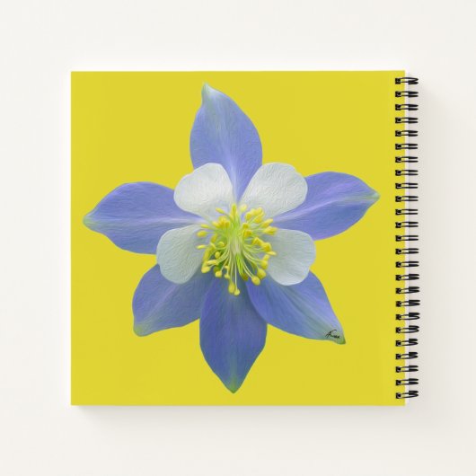 Kolomkolom 2 notitieboek (Achterkant)