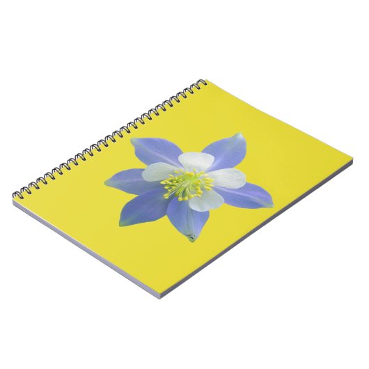 Kolomkolom 2 notitieboek (Linkerzijde)