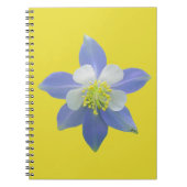 Kolomkolom 2 notitieboek (Voorkant)