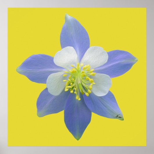 Kolomkolom 2 poster (Voorkant)