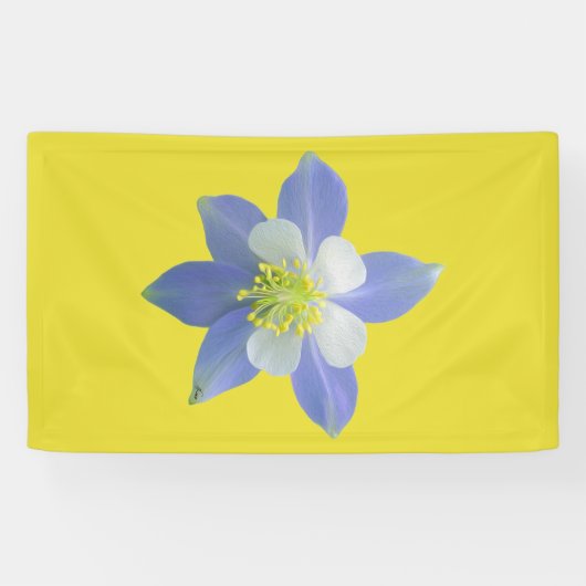 Kolomkolom 2 spandoek (Horizontaal)