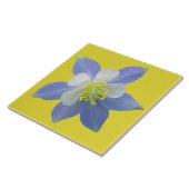 Kolomkolom 2 tegeltje (Zijkant)