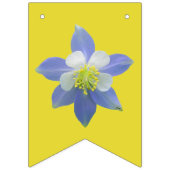 Kolomkolom 2 vlaggetjes (Tweede vlag)