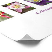 KolomkolPoster Poster (Hoek)