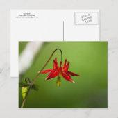 Kolommen 01 briefkaart (Voorkant / Achterkant)