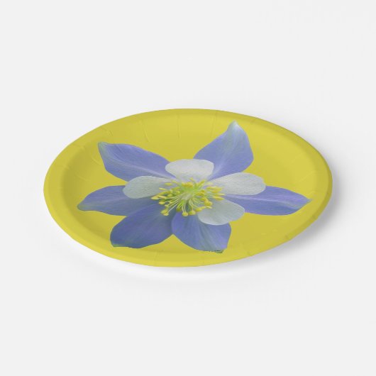 Kolommen 2 papieren bordje (Gekanteld)