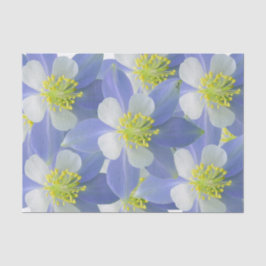 Kolommen 2 tissuepapier