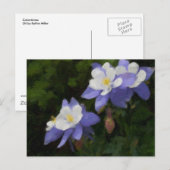 Kolommen Briefkaart (Voorkant / Achterkant)