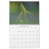 Kolommen Kalender (Feb 2027)