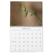 Kolommen Kalender (Mar 2027)