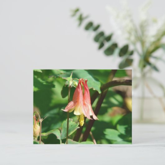 Kolomventilator Briefkaart (Staand voorkant)