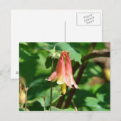 Kolomventilator Briefkaart (Voorkant / Achterkant)