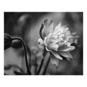 Kolomventilator in zwart-wit foto afdruk (Voorkant)