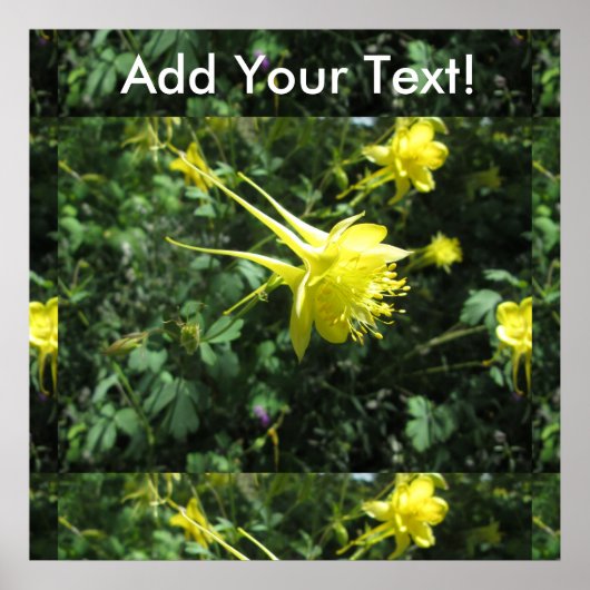 Kolomventilator Poster (Voorkant)