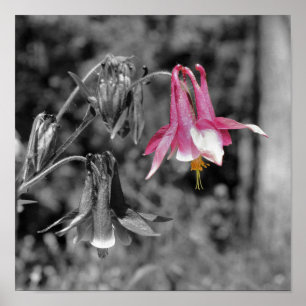 Kolomventilator zwart en witte partiële kleur poster