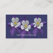 Kolomventilatorpatroon Visitekaartje (Achterkant)