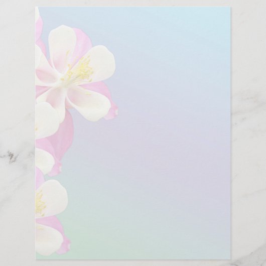 Kolomvormer roze en wit (Voorkant)