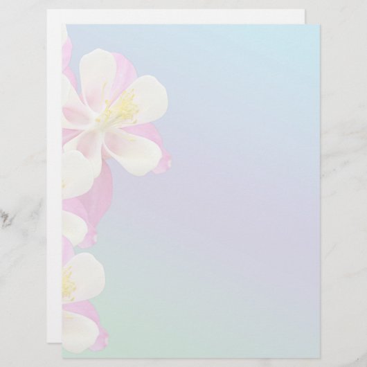 Kolomvormer roze en wit (Voorkant / Achterkant)