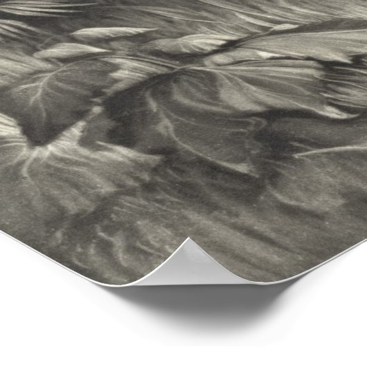 Kolonel Davy Crockett 1839 Poster (Hoek)