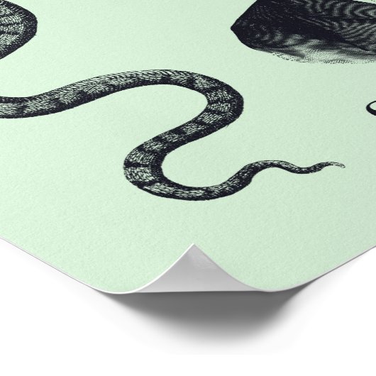 Kolonel John's Snake Oil Poster (Hoek)