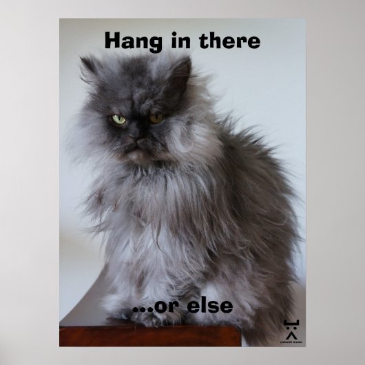Kolonel Meow, wacht daar op Poster (Voorkant)