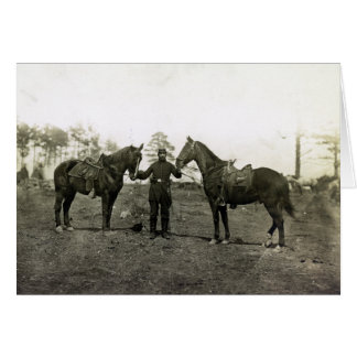 Kolonel Sharpe's paarden