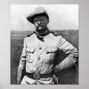 Kolonel Theodore Roosevelt Poster