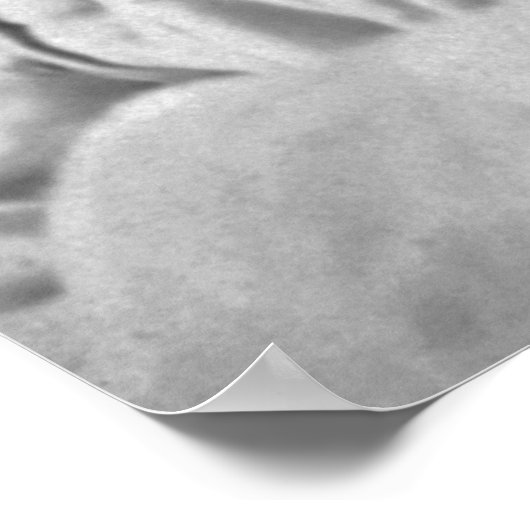 Kolonel Theodore Roosevelt van 1898 Poster (Hoek)