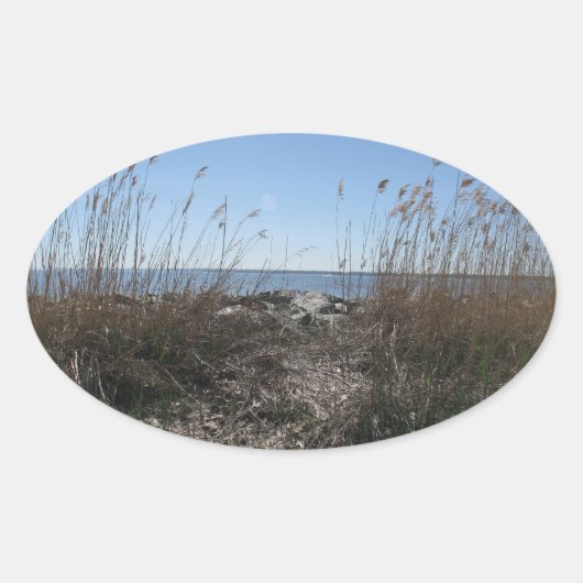 Koloniaal strand 1 ovale sticker (Voorkant)