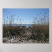 Koloniaal strand 1 poster (Voorkant)