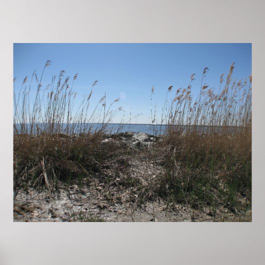 Koloniaal strand 1 poster (Voorkant)