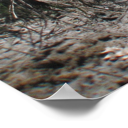 Koloniaal strand 1 poster (Hoek)