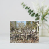 Kolonial Williamsburg Campsite Briefkaart (Staand voorkant)