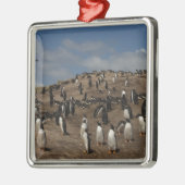 Kolonie Gentoo Penguin (Pygoscelis papua) in het w Metalen Ornament (Links)