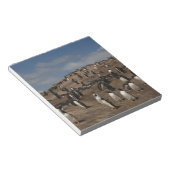 Kolonie Gentoo Penguin (Pygoscelis papua) in het w Notitieblok (Schuin)