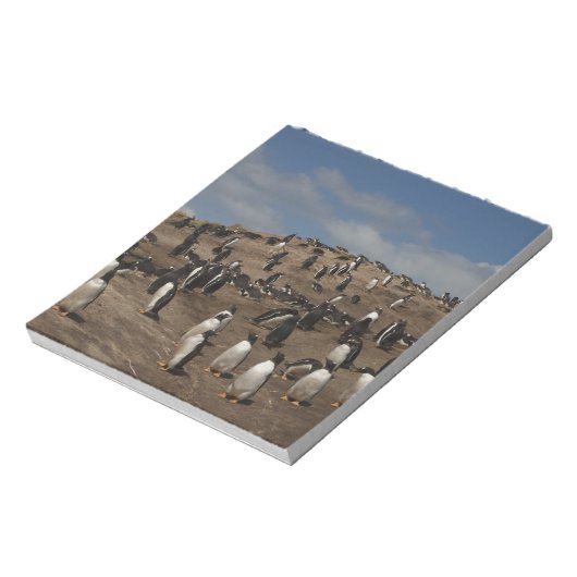 Kolonie Gentoo Penguin (Pygoscelis papua) in het w Notitieblok (Linkerzijde)