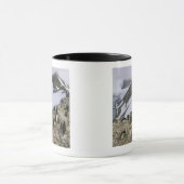 Kolonie van Chinstrap pinguïns Mok (Midden)