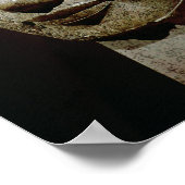 Kolossaal hoofd van Amenhotep III van al-Qurnah Poster (Hoek)