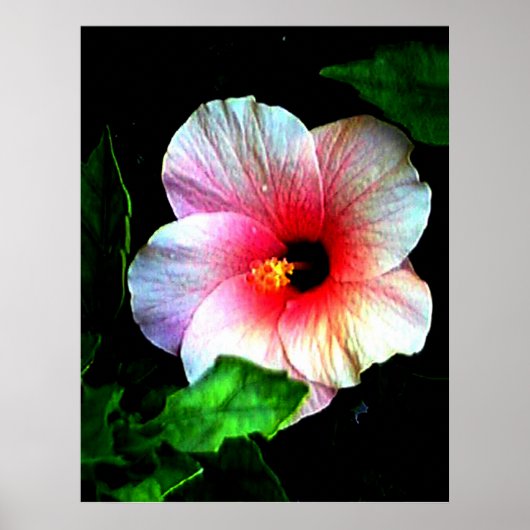Kolossale 72" x 52" en 52" x 72" Art. Giclée Poster (Voorkant)