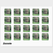 Kolossale kop vierkante sticker (Vel)