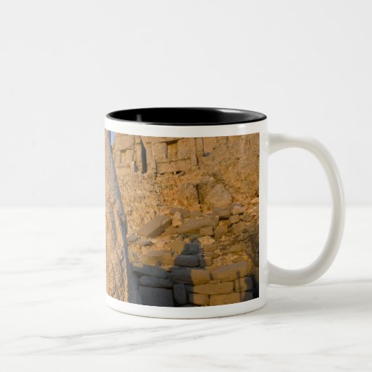 Kolossale kopbeelden van goden die de tweekleurige koffiemok (Rechts)