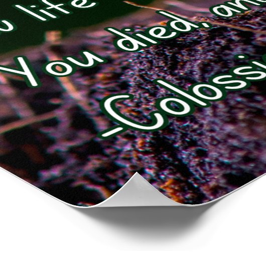 Kolossenzen 3:3 grafisch met een tuinspruit poster (Hoek)