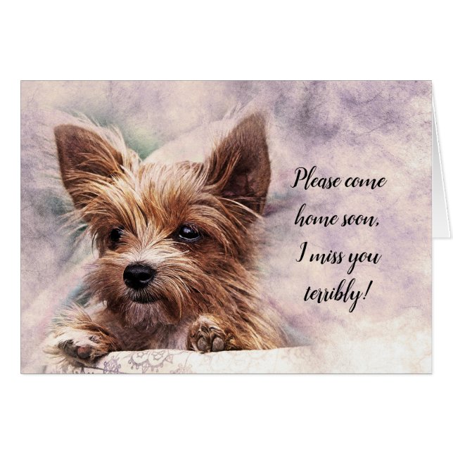 Kom alsjeblieft snel naar huis als ik je verschrik (Voorkant Horizontaal)