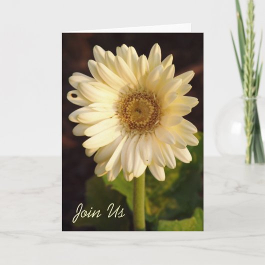 Kom bij ons (Voorkant)