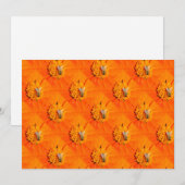 kom daar! kaart (Voorkant / Achterkant)