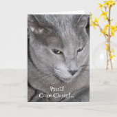 Kom dichterbij Kaart (Gele Bloem)