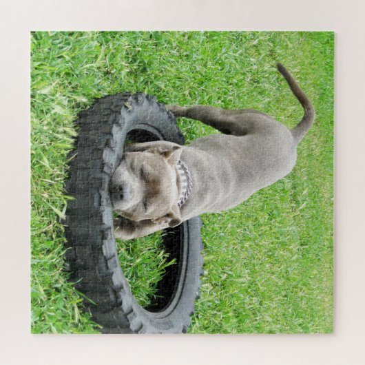 Kom en speel Staffy, puzzel (Horizontaal)