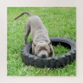 Kom en speel Staffy, puzzel (Verticaal)